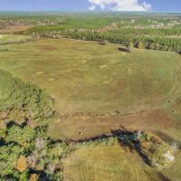 Mississippi Farm and Homestead Land For Sale images 2