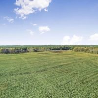 Mississippi Farm and Homestead Land For Sale images 4
