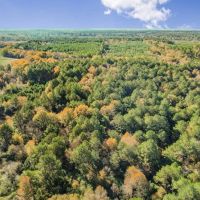 Mississippi Farm and Homestead Land For Sale images 5