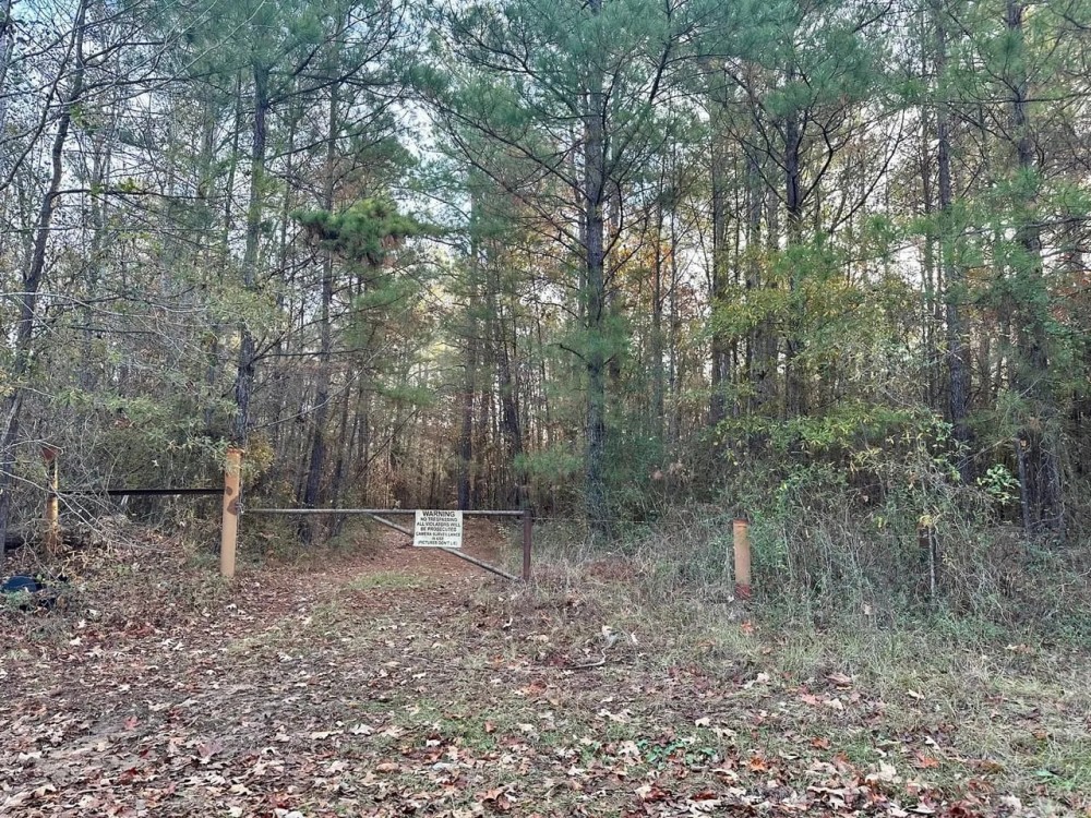 200 - Acres Hunting and TImberland for sale in Clarks LA featured image