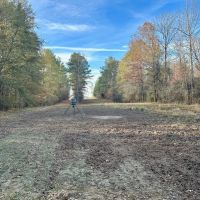200 - Acres Hunting and TImberland for sale in Clarks LA images 3