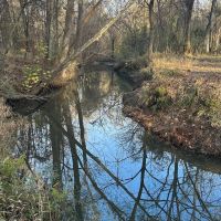 200 - Acres Hunting and TImberland for sale in Clarks LA images 5