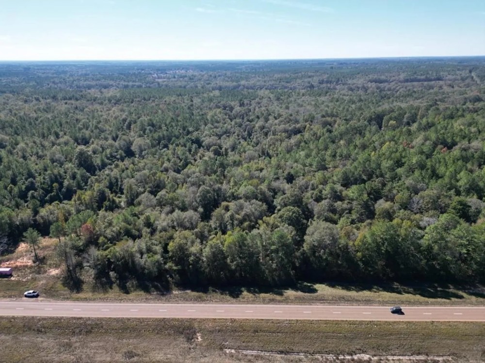 Great Timberland Hunting Tract in Southwest Mississippi featured image