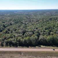 Great Timberland Hunting Tract in Southwest Mississippi