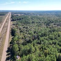 Great Timberland Hunting Tract in Southwest Mississippi images 2