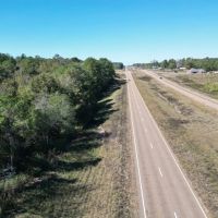 Great Timberland Hunting Tract in Southwest Mississippi images 3