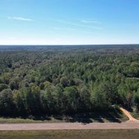 Great Timberland Hunting Tract in Southwest Mississippi images 5