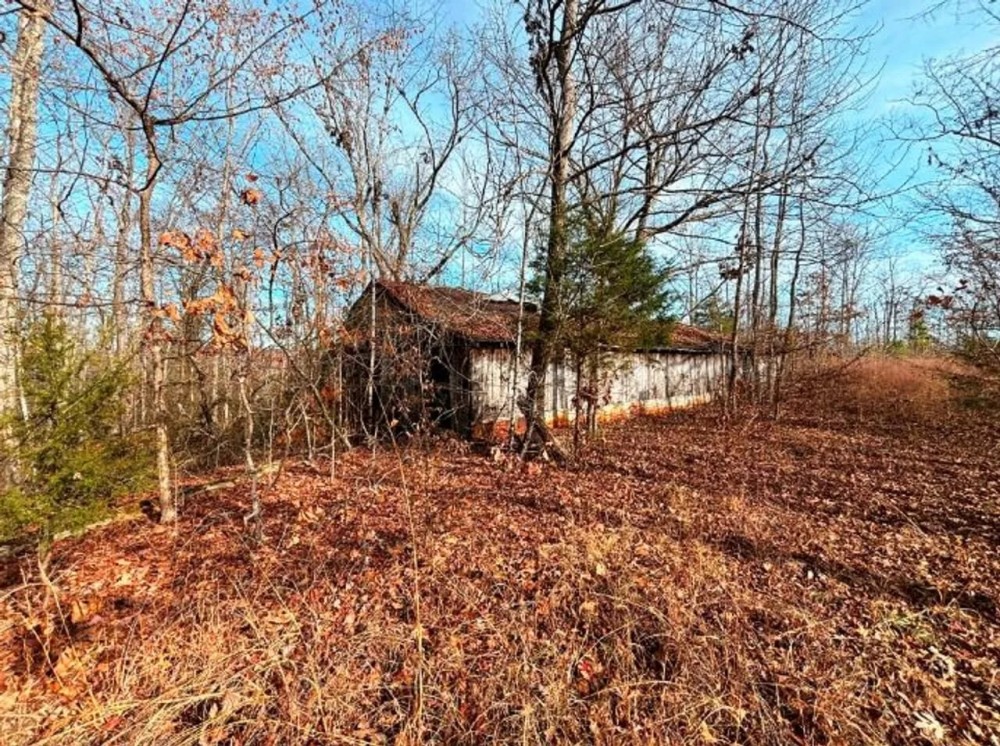 Excellent Hunting Tract on Coffee Land Road in Hardin County Tennessee featured image