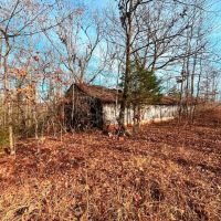Excellent Hunting Tract on Coffee Land Road in Hardin County Tennessee