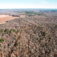 Excellent Hunting Tract on Coffee Land Road in Hardin County Tennessee images 4