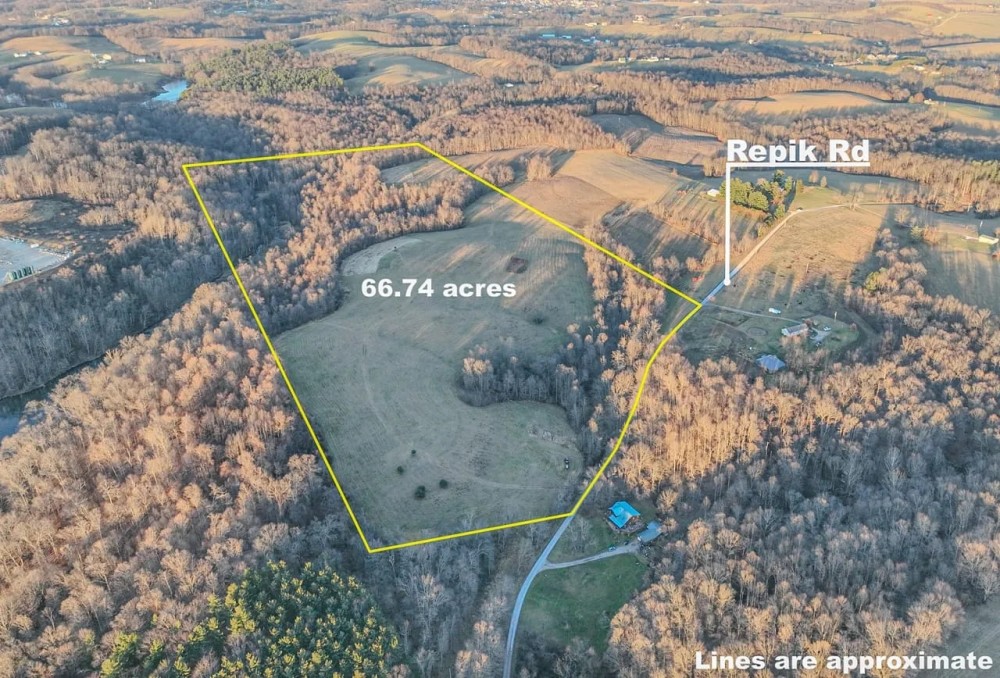 Auction - 66 Acres - Belmont County featured image