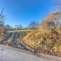 Auction - 66 Acres - Belmont County images 2