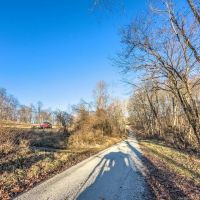 Auction - 66 Acres - Belmont County images 3