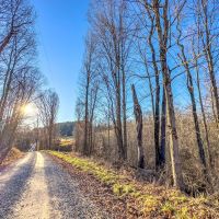 Auction - 66 Acres - Belmont County images 4