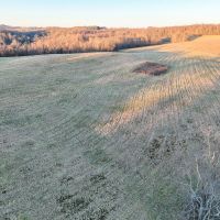 Auction - 66 Acres - Belmont County images 5