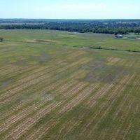 Cushing 5 Acre Tracts images 2