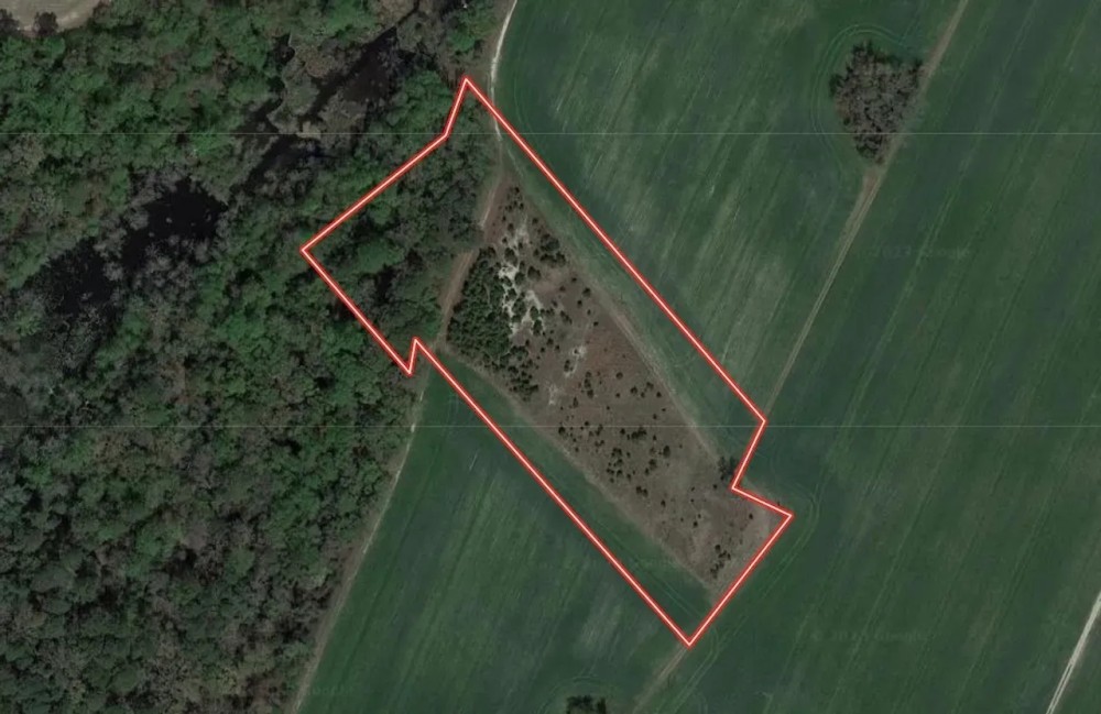 5 acres of Recreational and Residential Land For Sale in Greene County NC featured image