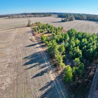 5 acres of Recreational and Residential Land For Sale in Greene County NC images 2