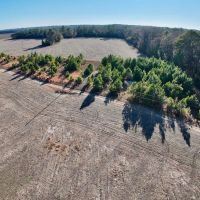 5 acres of Recreational and Residential Land For Sale in Greene County NC images 3