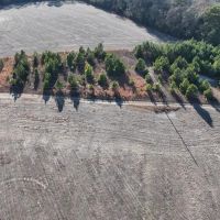 5 acres of Recreational and Residential Land For Sale in Greene County NC images 4