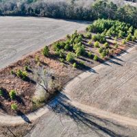5 acres of Recreational and Residential Land For Sale in Greene County NC images 5
