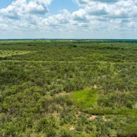 RS 48404 - 568 acres Wells Rd Holliday TX 76366 images 2