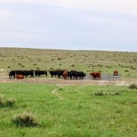 Hickert Ranch