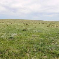 Hickert Ranch images 2