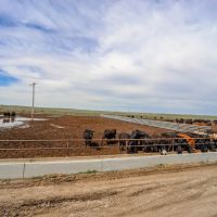 Hickert Ranch images 5