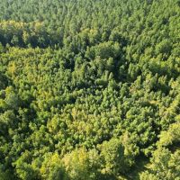 6.5 acres of Residential and Recreational Land For Sale in Bladen County NC images 2
