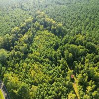 6.5 acres of Residential and Recreational Land For Sale in Bladen County NC images 3