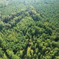 6.5 acres of Residential and Recreational Land For Sale in Bladen County NC images 4