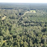 6.5 acres of Residential and Recreational Land For Sale in Bladen County NC images 5