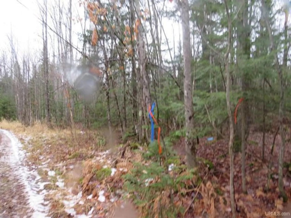 60 Acre Wooded Parcel 50129789 featured image
