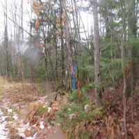 60 Acre Wooded Parcel 50129789