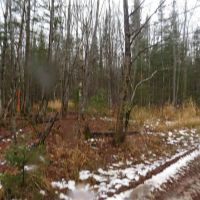 60 Acre Wooded Parcel 50129789 images 2