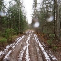 60 Acre Wooded Parcel 50129789 images 5