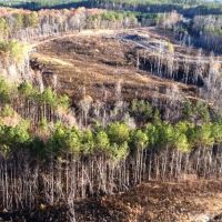 34.2 acres on Franklin County Road 16 images 2