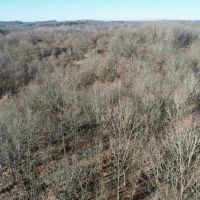 Florence Ave. Washington County - 16 acres images 3