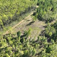 150 - Ac Recreational Land for Sale in Camden County GA images 1