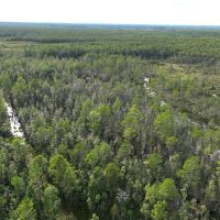 150 - Ac Recreational Land for Sale in Camden County GA images 2