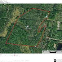150 - Ac Recreational Land for Sale in Camden County GA images 3