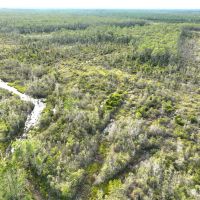 150 - Ac Recreational Land for Sale in Camden County GA images 4
