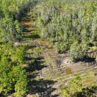150 - Ac Recreational Land for Sale in Camden County GA images 5