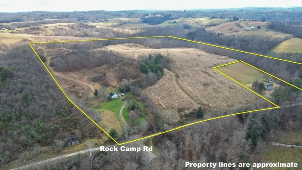 ROCK CAMP RD. - 49 ACRES - MONROE COUNTY featured image
