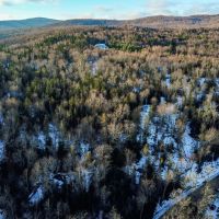 401 Wallace Road - Lemington images 3