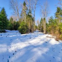 401 Wallace Road - Lemington images 4