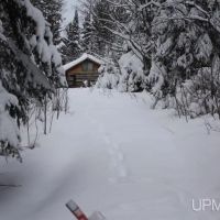 Camp w Acreage River Frontage 50130231