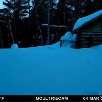 Camp w Acreage River Frontage 50130231 images 2