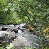 Camp w Acreage River Frontage 50130231 images 4